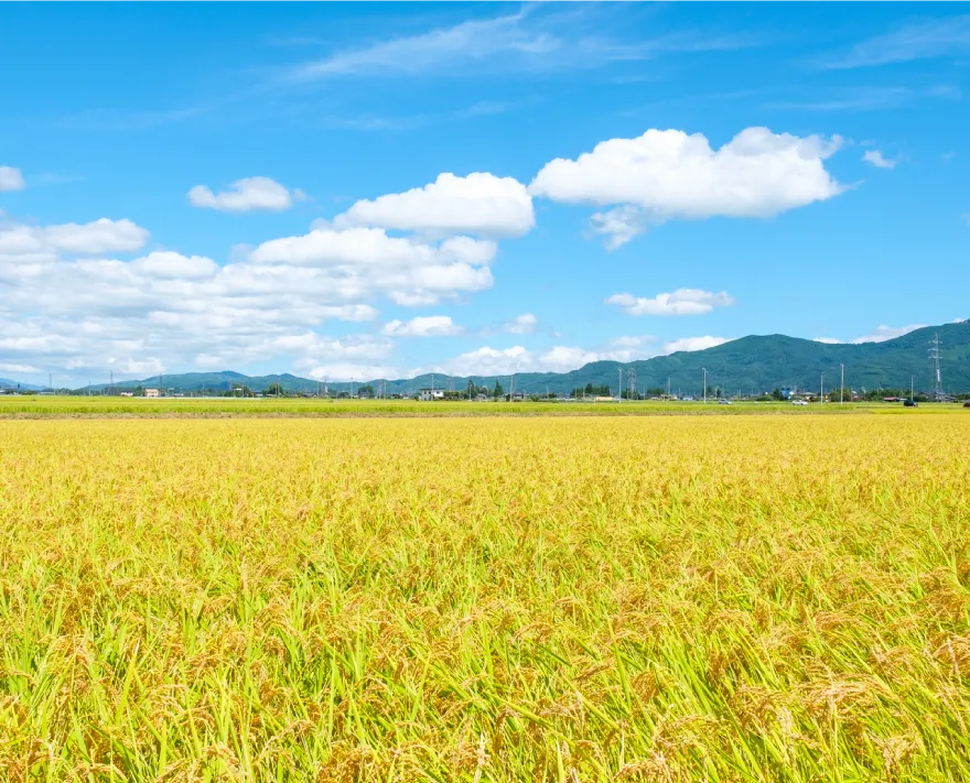 私たち、100年経っても伸び盛り。
